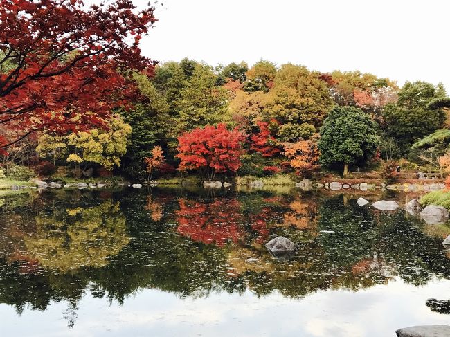 2016年11月 昭和記念公園に紅葉を見に