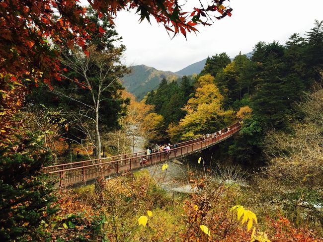 紅葉＆ハイキング、秋川渓谷へ行ってきました。<br /><br />新宿からJR中央線で、武蔵五日市駅へ。<br />2015年バージョン、初めての秋川渓谷です。<br />