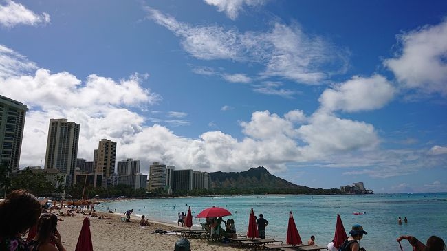 令和初海外旅行~‼️<br />5月2日~6日 3泊5日弾丸ハワイ<br /> デルタ航空 成田~ホノルル(特典航空券)<br />ホテル ロイヤルハワイアンホテルラグジュアリー<br />ヒステリックルーム ガーデンビュー