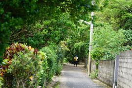 2019奄美の島々めぐる旅５日間vol.2（加計呂麻島）