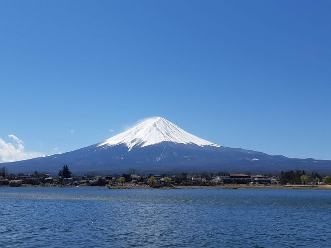 2014年4月に結成されたAKB48チーム8。各都道府県から1名ずつ選ばれた47名のメンバーから構成される。<br /><br />今年は5周年。例年だと全国ツアーで回っていないところが選ばれるのだが、今年は2015年に一度全国ツアーを開催した山梨県。しかもなぜか河口湖という首都圏からもアクセスが不便な場所。<br />しかしこれにはちゃんと意味があったようで、コンサートに参加してメンバーが着ていたTシャツを見て分かった。<br />5周年 → √5 → 2.2360679 → 富士山麓オウム鳴く → 富士山麓 → 河口湖<br /><br />チーム8の周年コンサートは2周年の沖縄以来の参加。<br />グッズでAnniversary Bookを購入したが、初期メンの成長には驚かされる。5年も経つとメンバーの入れ替えも激しく約半数が初期メンではなくなっている。全国ツアーも残り8府県、とりあえずは完走を目指して頑張れ!!<br /><br />チーム8山梨県代表:左伴彩佳<br /><br />各都道府県から集められたチーム8には珍しい苗字のメンバーが居て、左伴もその一人。「ひだりとも」と読む。知らなければ絶対に読めない名前だ。<br />王道アイドル…とは言えないが、関東で放送されているバラエティ番組では面白い一面を見せている。<br /><br />コンサートの翌日は、河口湖を遊覧して、名物ほうとうを堪能し、何十年かぶりにジェットコースターに乗った。<br /><br /><br />【行程】<br /><br />1日目(4/14・日) 曇りのち雨<br /><br />船橋(06:53)--特急 あずさ3号-->大月(08:30)<br /><br />大月(09:12)--富士急富士急行線-->河口湖(10:08)<br /><br />河口湖駅(10:30)--シャトルバス-->ステラシアター(10:45)<br /><br />★河口湖ステラシアター<br />チーム8結成5周年記念コンサート in 河口湖ステラシアター 富士山麓エイト祭り 2019<br /><br />【開場時刻】11:00/16 :00<br />【開演時刻】12:00/17:00<br /><br />★河口湖周辺(泊)<br /><br /><br />2日目(4/15・月) 晴れ<br /><br />★河口湖遊覧船、河口湖富士山パノラマロープウェイ<br /><br />★お昼ごはん(名物ほうとう不動 河口湖駅前店)<br /><br />★富士急ハイランド 高飛車<br /><br />富士急ハイランド(16:13)--富士急富士急行線-->大月(17:08)<br /><br />大月(17:36)--中央本線-->高尾(18:12/18:13)--中央線-->八王子(18:21)<br /><br />八王子(18:31)--特急 あずさ28号-->新宿(19:06)<br />