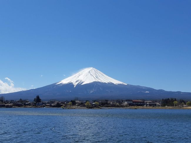 2014年4月に結成されたAKB48チーム8。各都道府県から1名ずつ選ばれた47名のメンバーから構成される。<br /><br />今年は5周年。例年だと全国ツアーで回っていないところが選ばれるのだが、今年は2015年に一度全国ツアーを開催した山梨県。しかもなぜか河口湖という首都圏からもアクセスが不便な場所。<br />しかしこれにはちゃんと意味があったようで、コンサートに参加してメンバーが着ていたTシャツを見て分かった。<br />5周年 → √5 → 2.2360679 → 富士山麓オウム鳴く → 富士山麓 → 河口湖<br /><br />チーム8の周年コンサートは2周年の沖縄以来の参加。<br />グッズでAnniversary Bookを購入したが、初期メンの成長には驚かされる。5年も経つとメンバーの入れ替えも激しく約半数が初期メンではなくなっている。全国ツアーも残り8府県、とりあえずは完走を目指して頑張れ！！<br /><br />チーム8山梨県代表：左伴彩佳<br /><br />各都道府県から集められたチーム8には珍しい苗字のメンバーが居て、左伴もその一人。「ひだりとも」と読む。知らなければ絶対に読めない名前だ。<br />王道アイドル…とは言えないが、関東で放送されているバラエティ番組では面白い一面を見せている。<br /><br />コンサートの翌日は、河口湖を遊覧して、名物ほうとうを堪能し、何十年かぶりにジェットコースターに乗った。<br /><br /><br />【行程】<br /><br />1日目(4/14・日)　曇りのち雨<br /><br />船橋(06:53)--特急 あずさ3号--&gt;大月(08:30)<br /><br />大月(09:12)--富士急富士急行線--&gt;河口湖(10:08)<br /><br />河口湖駅(10:30)--シャトルバス--&gt;ステラシアター(10:45)<br /><br />★河口湖ステラシアター<br />チーム８結成５周年記念コンサート in 河口湖ステラシアター 富士山麓エイト祭り 2019<br /><br />【開場時刻】11:00/16	:00<br />【開演時刻】12:00/17:00<br /><br />★河口湖周辺（泊）<br /><br /><br />2日目(4/15・月)　晴れ<br /><br />★河口湖遊覧船、河口湖富士山パノラマロープウェイ<br /><br />★お昼ごはん（名物ほうとう不動　河口湖駅前店）<br /><br />★富士急ハイランド　高飛車<br /><br />富士急ハイランド(16:13)--富士急富士急行線--&gt;大月(17:08)<br /><br />大月(17:36)--中央本線--&gt;高尾(18:12/18:13)--中央線--&gt;八王子(18:21)<br /><br />八王子(18:31)--特急 あずさ28号--&gt;新宿(19:06)<br />