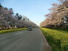 北関東から道南桜街道を歩く