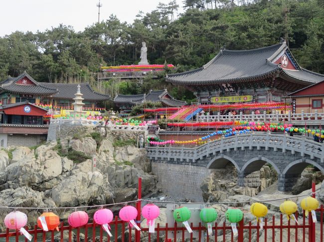 ちょこっとプサン（パパの居ぬ間に洗濯＆海東龍宮寺）令和元年