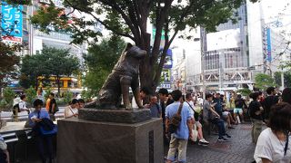 201707東京(原宿、渋谷)