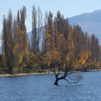 秋のクイーンズタウンとワナカ2日目前編：アロータウン、パズリングワールド、ワナカ湖、ワイナリーなど