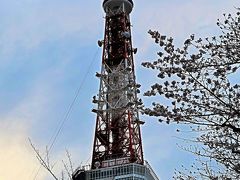 都内桜名所16　東京タワー　増上寺の裏手にそびえ　☆聖観世音菩薩像など供養塔も