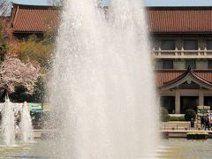 東博-1　上野恩賜公園　さくら　花見ごろ　☆「博物館でお花見を」企画展を開催