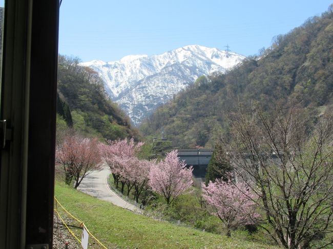 大好きな富山に行ってきました