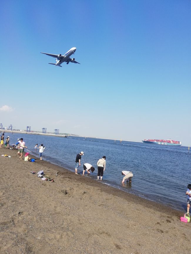 今年で3年目となったゴールデンウィーク明けの城南島海浜公園での潮干狩り&キャンプ。今年の収穫はいかに!?