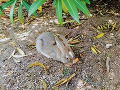 ハローキティ新幹線で行く大久野島日帰り旅