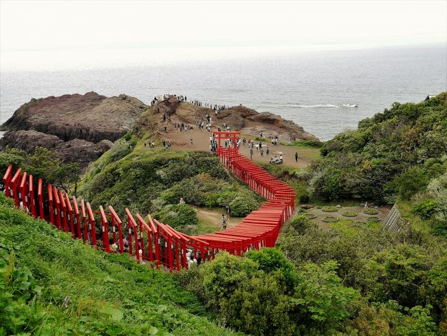 ♪思えば～とお～くに来たもんだ～♪<br /><br />もう旅に出て、5日目です。残念ながら、お天気に恵まれません。それでも、雨に洗われた新緑の清々しさや、雨にさえ映える景観・・日本はえらい（これは、素晴らしいの意味のえらい！）<br /><br />今日は山口のホテルから、青海島、仙崎市、元乃隅稲成神社、角島大橋などを廻り、下関からタイトルにもしたちょびっと九州行きます。関門トンネルを歩いて門司まで行っただけなんですけどね＾＾<br /><br />それにしても、今日は渋滞ばかり！元乃隅稲成神社までたどり着くのも大変。<br />角島大橋は大渋滞でした。道の駅も駐車場が車で一杯で寄ることも出来ません。<br /><br /><br />ですが、知らない街を訪れる旅はウキウキします。日本はえらいって又もや言ってしまうのです。