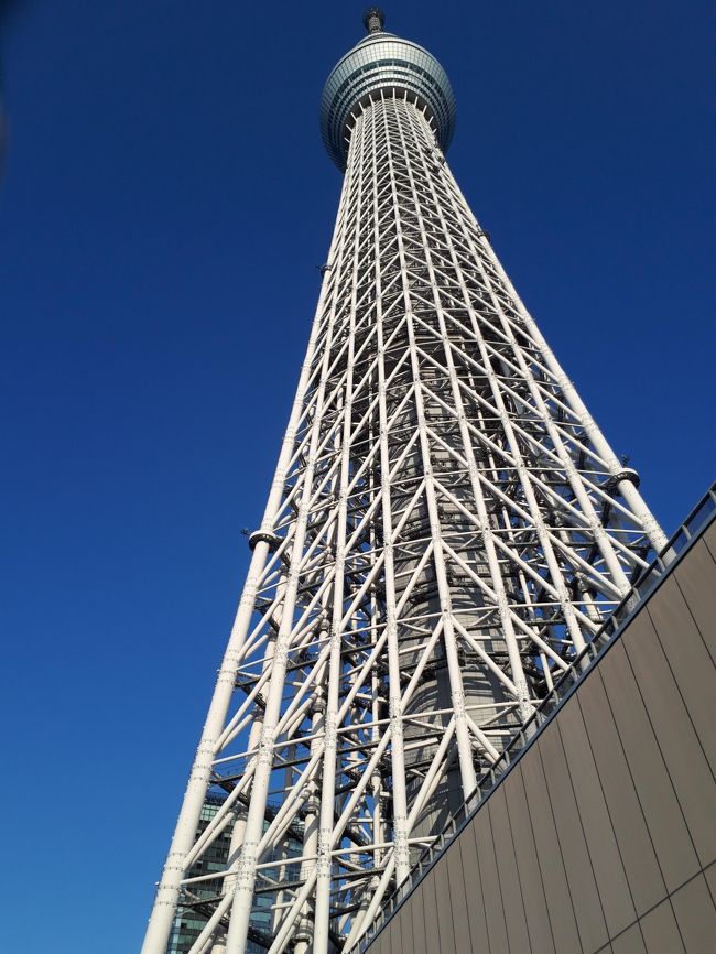 まだまだ人気のスカイツリー<br />一番の満喫方法を模索した結果は?!<br />