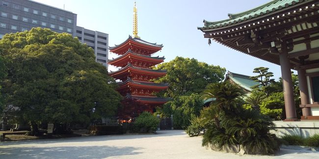 天神で予定以上に飲み過ぎたので、少し散歩しながら中州や祇園方面に向かおう。<br />天気は快晴。5月だが初夏よりは暑い感じだが、結構酒を飲んでいるから逆に気持ちが良い。<br /><br />東京とは違って少し駅周辺から離れると結構落ち着いた雰囲気になる。<br />ぶらついているとたまたま鰻の名店「吉塚」の前を通りかかったり、何十回もきた福岡でも初めて通るいわゆる地元の街並みを歩くのが楽しい。<br /><br />とは言え、酒を飲んで歩いているから段々酔いは回ってくる。<br />川端商店街を通って祇園で一杯。<br />あとで調べたら人気の店『KENZO CAFE』<br />落ち着いた昼下がりに誰もいないカウンターでゆっくり焼酎を味わう。<br />至福の時だ。<br /><br />店を出て東長寺に向かったが、参拝し御朱印を頂いたのはほとんど記憶にない。<br />何と罰当たり!<br /><br />それでも博多駅までたどり着いて、地下街で「せんべろ」を探し、更に飲む。<br />1000円で小鉢3つと酒2杯。<br />生ビールとハイボールを楽しんで、ようやく博多飲みは終了。<br /><br />しかし気が付くと何故か小倉で下車。<br />恐らく在来線で小倉まで行ったのだろう。<br />小倉の立ち食いそば屋で、美味しいうどんを食べてやっと落ち着いた。<br />それにしても昼から4軒は飲みすぎた。<br /><br />ここから山口に戻り更に3軒!!!<br />