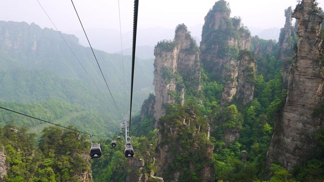 祝令和の10連休は中国旅行にしました。<br />4トラ先輩等の旅行記を参考に、中国内陸の観光スポット、桂林 鳳凰 張家界を巡りました。<br />移動は新幹線とバス。<br />今回のミッション<br />・桂林で水墨画の風景を見ること<br />・鳳凰では古城の夜景の写真を撮りまくること<br />・張家界では武陵源と天門山を歩き回ること<br />天候にも恵まれ、すべてのミッションを達成、無事帰国しました。<br /><br />4/26　会社を早退　成田空港へ　深セン航空　成田－深セン深夜着　タクシーでホテル移動　ジンジャンホテル泊<br />4/27　地下鉄で機場東から深セン北まで移動、深セン北ー桂林北まで新幹線、着後路線バスで移動　イーズホテル泊<br />4/28　朝から漓江下りツアーに参加　イーズホテル泊<br />4/29　朝散歩後　桂林ー鳳凰　バス移動　ジムユーユースホステル泊<br />4/30　鳳凰古城散策　モカゲストハウス泊<br />5/1　朝鳳凰バスターミナルへタクシーで移動　鳳凰ー武陵源バス移動　着後　天子山、十里画廊散策　武陵源ユースホステル泊<br />5/2　袁家界　揚家界　烏龍賽　散策　武陵源ユースホステル泊<br />5/3　黄石賽　金鞭渓ウォーキング後張家界へバス移動　ザンジャージェーイージャーチン泊<br />5/4　天門山　ザンジャージェーイージャーチン泊<br />5/5　早朝宿の送迎サービスで空港へ　張家界ー広州　中国南方航空<br />　　広州地下鉄でプチ市内見物　広州ー羽田　ANA　帰国