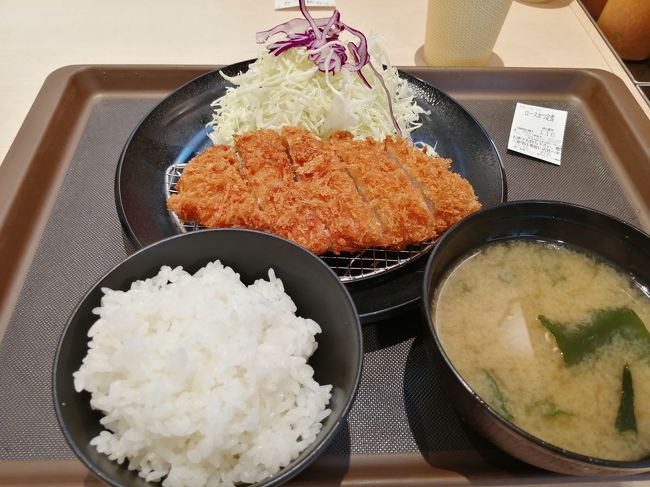 横浜駅周辺は開発が進んでいます。観光客の姿も多いですが、みなとみらいエリアも開発が進んでいます。<br />ビルを見て楽しみましょう。そごうでは、崎陽軒のイベントが開催されていました。<br />ホテルユニゾの１階で松乃屋の美味しいとんかつを食べました。