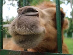 ホーチミン 動・植物公園