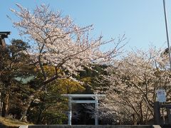 春の欲張り遠足、1日目～喫茶ラビン・館山中村屋・安房神社・北斗星編～