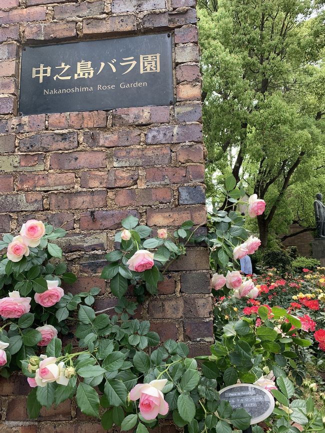 大阪、淀屋橋にある中之島バラ園です。<br /><br />圧巻です。<br /><br />バラの好きな方へ！<br /><br />バラの写真が中心です。<br /><br />表紙の写真のバラはピエール・ド・ロンサール。<br /><br />