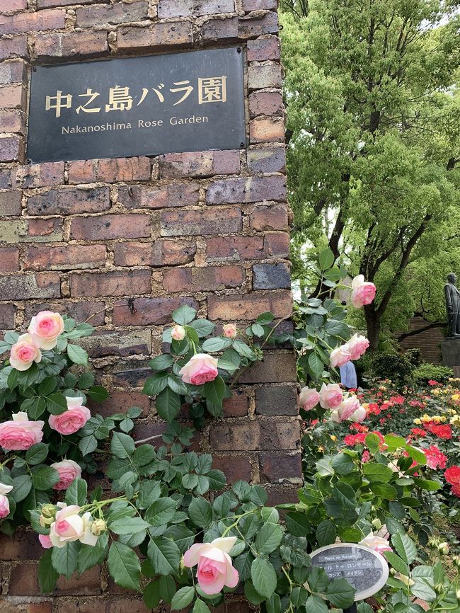薔薇の季節 に心惹かれて 満開の中之島バラ園19 心斎橋 淀屋橋 大阪 の旅行記 ブログ By 緑川緑子さん フォートラベル