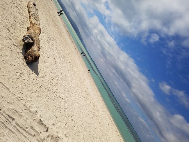 石垣島から船で離島へ渡り、さらに美しい景色に癒されてきました