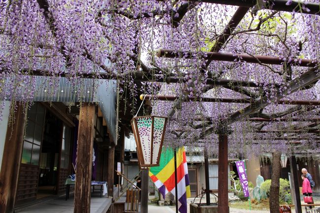 幼馴染に会いに三重*津へ【アマミク魚歳別館・伊勢亀山城跡・太巌寺・関宿・小まん茶屋】