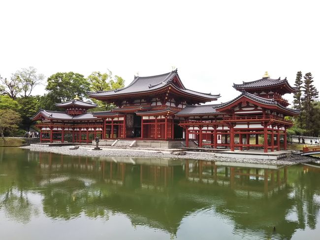 令和改元で世間は10連休の中、私は土日だけの休みだったので4/28の日曜に家族サービスを兼ねて宇治と伏見へワンデイトリップに出掛けました。<br /><br />大阪淀屋橋駅→京阪特急→中書島駅→月桂冠大倉記念館→黄桜カッパファクトリー→宇治平等院→源氏物語ミュージアム→福寿園宇治茶工房→伏見稲荷大社→伏見稲荷駅→大阪淀屋橋駅