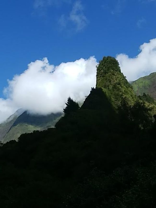 2018年9月、7年ぶりのマウイ島旅はワイレア地区のコンドミニアムで暮らすようにのんびりと過ごす旅となりました。<br /><br />今回のマウイ島旅で訪れた観光スポットをご紹介します。