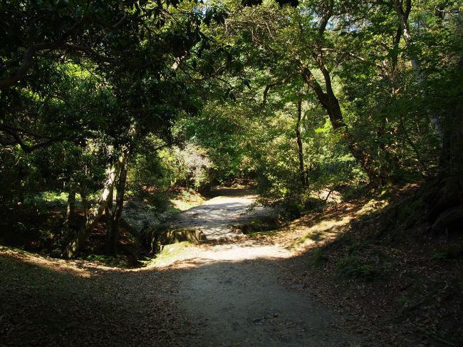 曜変天目茶碗を見るために奈良国立博物館に行ってきました。<br />2日前にMIHO MUSEUM（3/21～5/19）で大徳寺　龍光院の滅多と見ることができない所蔵品と曜変天目茶碗をみてフムフム。<br />奈良国立（4/13～6/9）に行くのは、もう少し先でもよかったけれど、<br />懐かしの高畑を散策したくなった。<br />奈良は近い！行っちゃえ～と1日開けて行くことにしました。<br /><br />奈良国立博物館は夕方にはかなり空いているとの情報から、ギリギリに入ればいいやと家を12時前に出発。<br />今回はJRで奈良に入ってみました。ソフトクリームの美味しそうなものを見つけたからなんですが(^O^)／<br />