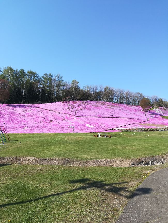 時代が令和に変わり初めての弾丸トリップは北海道となりました。（平成最後も北海道でしたが）ジェットスターの「最低価格保証」を利用しお得に航空券をゲットしました。これは前の旅行記でも書きましたがある一定条件を満たし認められれば他社価格の更に10％引きで購入出来るというものです。今回はレンタカーを借りてお花畑をまわってみました。