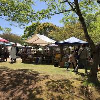 春の栃木、餃子と器探し旅