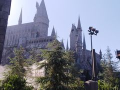 夏休みに卒業旅行、、、念願のディズニー&ＵＳＨ  そしてサンディエゴ ２・３日目