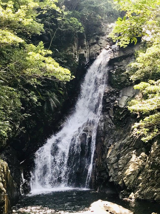 令和元年 最初の沖縄旅行。自然にふれあいたくて比地大滝に行ってきました！