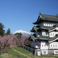 201904-05GW-02_弘前城と芦野公園の桜＋津軽半島　Sakura in Tsugaru (Aomori)