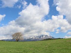 小岩井農場の一本桜のリベンジと、北山崎の景観と、あまちゃんロケ地、最後にハイジのような景色が見れました。