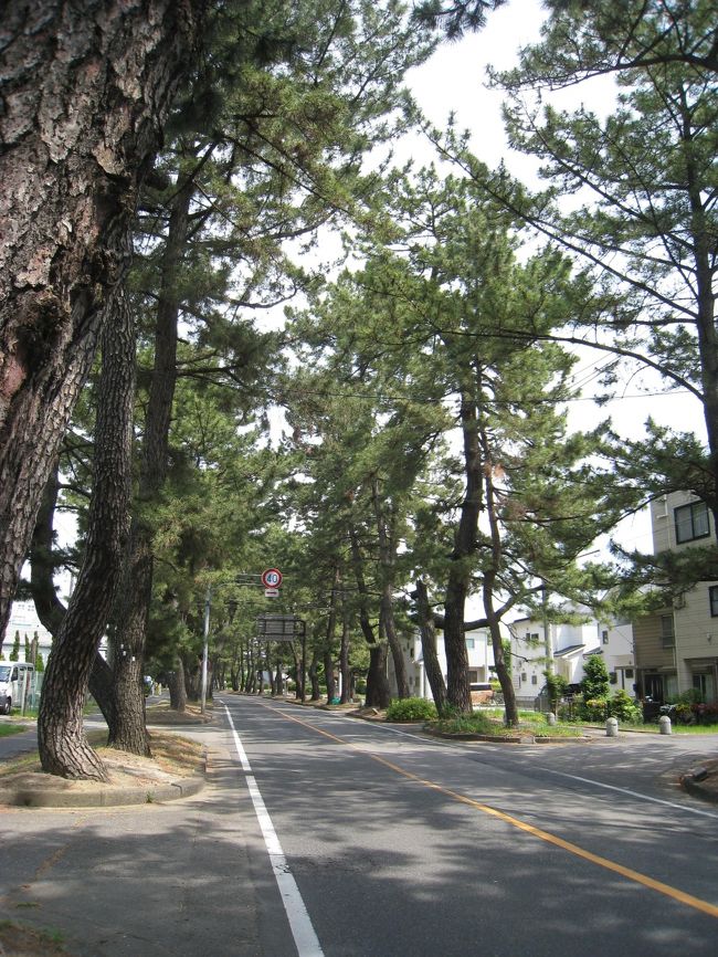 かきつばた咲く季節に池鯉鮒宿へ（東海道五十三次39番目④）