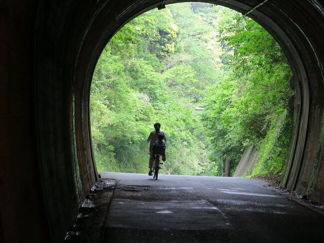 （下田のトンネル）<br /><br />　先月に続き、奥伊豆です。今回は伊豆の地質を概観してみましょう。<br />伊豆半島はフィリピンプレートで生まれ、はるか南方から流れてきたもの。海底火山の時代を経て、約１００万年前に陸化し、６０万年前新たな火山活動が起き、約２０万年前にほぼ現在の姿になりました。とたった三行で２０００万年を一気に概括してみました。2018年4月にはユネスコの世界ジオパークに認定されています。<br /><br />　・初キンメ目を丸うしていただけり<br /><br />　・菜の花よさくらと一緒に参りましょ<br /><br />　・見上げれば青空眩し月白し<br /><br />　・五月晴れ生きにくくなりしお年頃<br /><br />★次回はクロアチア、ポーランドから<br />