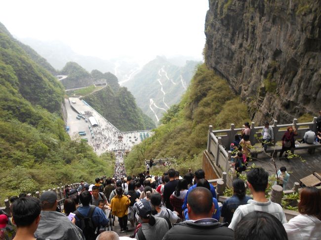 写真は５月２日、中国の連休２日目に張家界世界遺産「天門山」<br />の長い階段を降りる大勢の観光客です。<br />天門山は登るときも降りるときも人、人、人の大混雑状態でした。<br />中国のテレビで連休中に１．９５億人の人たちが国内を移動したと<br />報道していました（日本総人口のおよそ２倍です）。<br /><br />私たちは武陵源のバスターミナルを７時半ごろ出発しました。<br />武陵源から張家界まではバスで４０分ほどの距離（約35㎞）です。<br />バス料金は一人13元（約220円）と安価なため観光客の中には<br />張家界に宿泊して武陵源の観光地まで毎日通う人もいると聞いた<br />ことがあります。<br />私たちはお天気が良ければ今日は天門山に登り、<br />明日は半日黄龍洞を観光して、<br />夜の遅いフライトで今回の旅の最終地である上海に<br />移動する予定です。<br />早朝に武陵源から張家界に向かうという観光の逆コース<br />でしたので気が付かなかったのですが<br />各観光地は既に大量の観光客で溢れかえっていたのです。<br />今回のブログでは天門山の観光大集団について報告いたします。<br /><br />