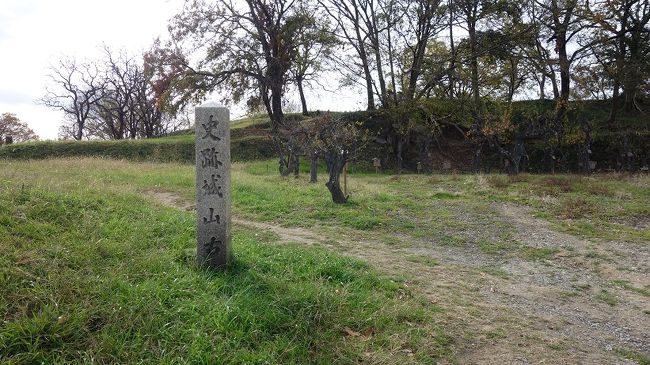 ユネスコの諮問機関イコモスは、堺市、藤井寺市及び羽曳野市が目差していた、古墳49基の「世界文化遺産」への登録をするべきとの勧告しました。今年6月の「ユネスコ世界遺産委員会」で正式な登録が決まるとのことです。まずは、目出度いことです。吉報を聞き先ずは二日間で早足で古墳群を巡ってきました。<br /> 写真は古市エリアの津堂城山古墳。<br /> <br /> 後記:この旅(企画)を切っ掛けに登録予定の全ての古墳を巡ることにします。写真を追加して行きたいと思います。