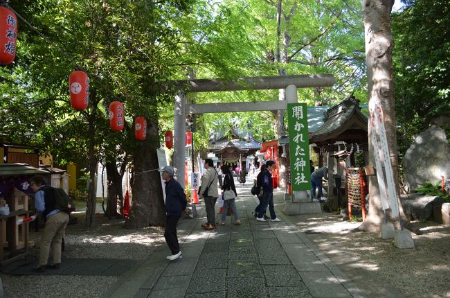ゴールデンウィークですが、5月1日 元号が「令和」に改元になりましたので、昨日は出かけても混雑してると思い翌2日に出かけました ------ 都内の道路は連休中なので車は少なかったですが、神社は参拝者が多かったでした。<br /><br />自宅 --- (環八・青梅街道経由) --- 阿佐ヶ谷 --- (五日市街道) --- 吉祥寺食事 --- 武蔵境 --- 田無 --- 珈琲館休憩 --- 自宅。
