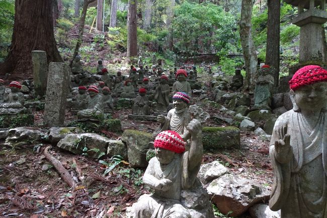 　長い参道を登っていく。<br />　御神木の杉林の中に、赤い帽子をかぶった羅漢の石像が、のきょのきょと顔をのぞかせる。<br />　端正な仏の顔ではない。<br />　けったいで個性的な顔だ。<br />　それぞれが違う顔をしている。<br />　禅の悟りをひらいた自由人は、独創性を持ち、個性的な顔をしているのだという。<br />　そういえば太古の日本の神は異相をしている。