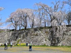 津山の城下町歩きと津山城桜まつり2019 ～古い建物と贅沢なお花見～（岡山）