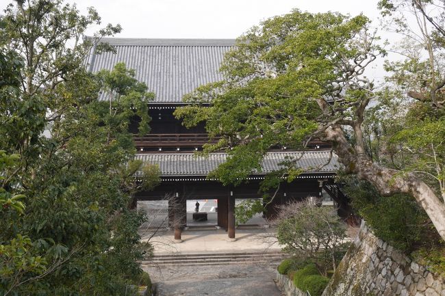 2月7日<br /><br />今回の旅の最終日<br /><br />午前中ポイントバケーション京都岡崎から近い「知恩院」を訪ねる