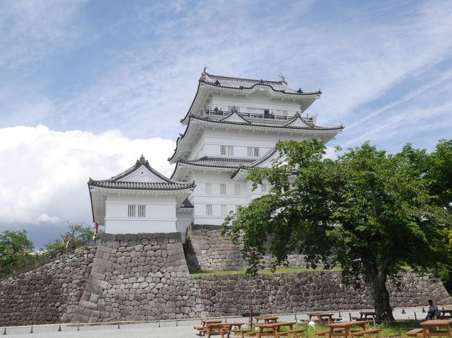 以前から行ってみたかった小田原城。国道一号線を通過したり、箱根に行くことはあっても、小田原の街を散策することはありませんでした。そしてついにその時が来ました。朝早く家を出て、小田原へ。<br />まずは、小田原城と報徳二宮神社へ。曇りの予想の天気予報でしたが、晴れていい天気です。<br /><br />小田原散策後半はこちら<br />5月の小田原②☆清閑亭・小田原文学館☆小田原おでん本店☆2019/05/15<br />https://4travel.jp/travelogue/11495134<br />
