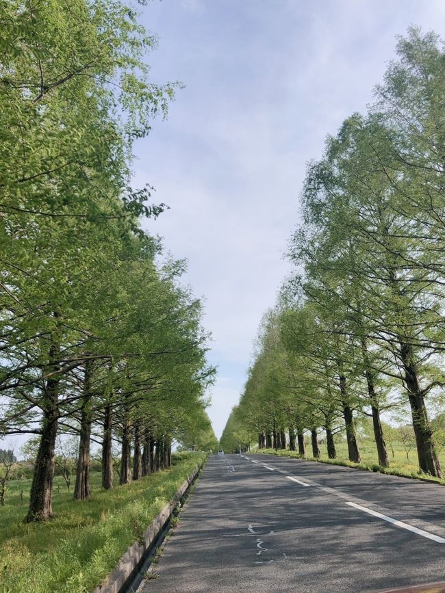 GWの前半の旅行で計画や夢?希望?<br />などが見事に砕け散りました。←自己責任!<br />が、老体に鞭打って頑張って行きました!<br />…(*Ü*)ﻌﻌﻌ♥<br />ここはみごとに期待を上まる素敵な場所でした~<br />初夏の緑には癒されました~!<br />