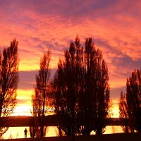 秋のクイーンズタウンとワナカ3日目前編：ワナカ湖の朝焼け、散策、リッチーズバスでクイーンズタウンへ