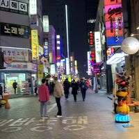 韓国１泊２日でどれだけ韓国料理を食べられるか旅行！！