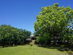 関西散歩記～2019 京都・長岡京市編～