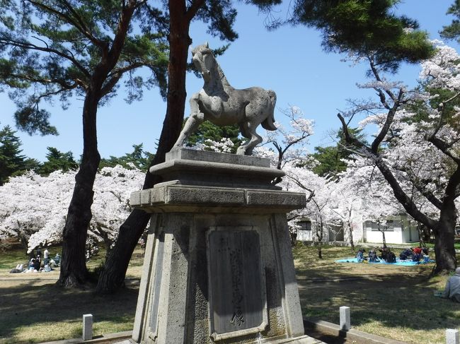 青森の実家を拠点に　金山焼、高山稲荷、鯵ヶ沢の温泉を巡ったり、青森市内の桜を楽しんだり、たくさんある温泉銭湯を楽しんだり、美味しいものを頂いたり。春の青森を満喫しました。