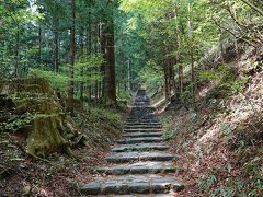 初夏の日光 初日は輪王寺から滝尾神社ハイキング。パワースポット巡り